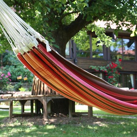 Obereisenheim Ferienwohnung Gartenreich מראה חיצוני תמונה