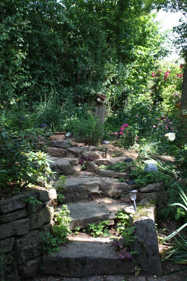 Obereisenheim Ferienwohnung Gartenreich מראה חיצוני תמונה